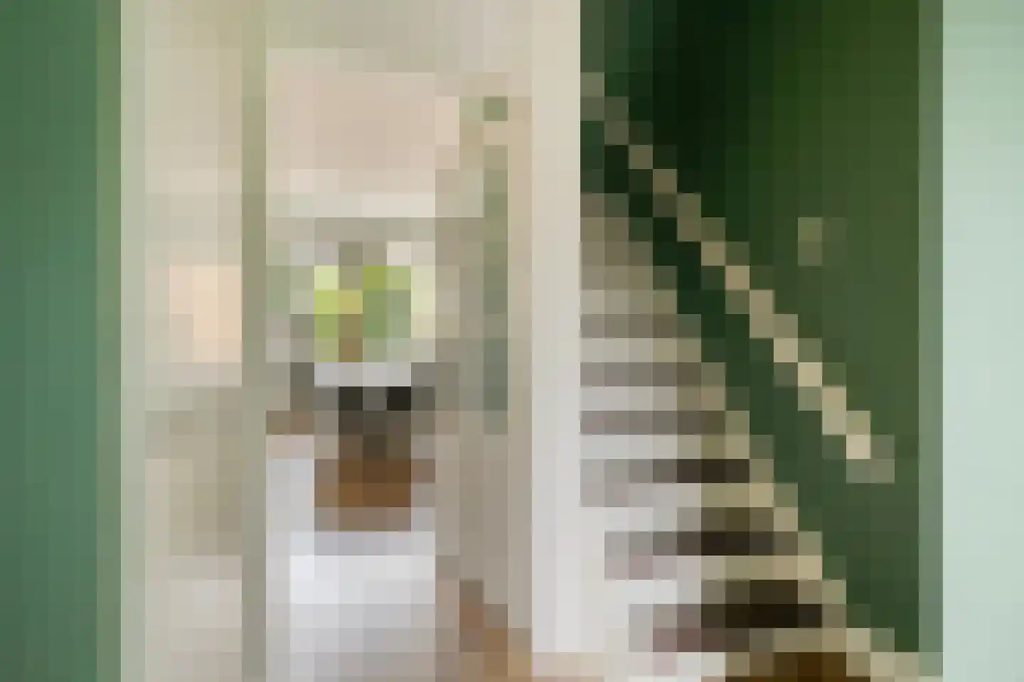 Eikelkamp 30 Epe thumbnail 6