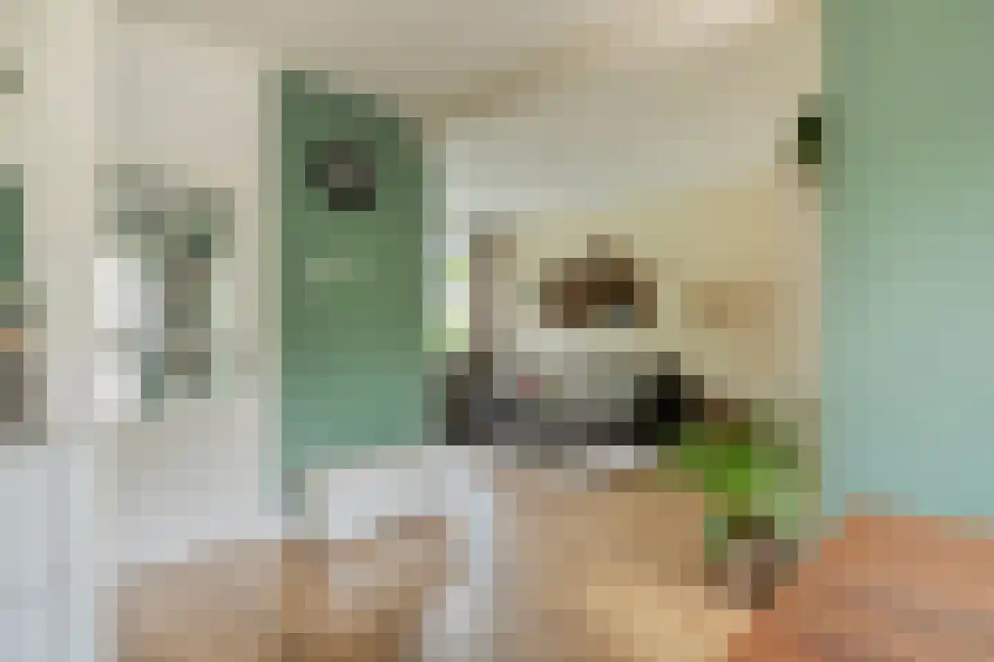 Eikelkamp 30 Epe thumbnail 7