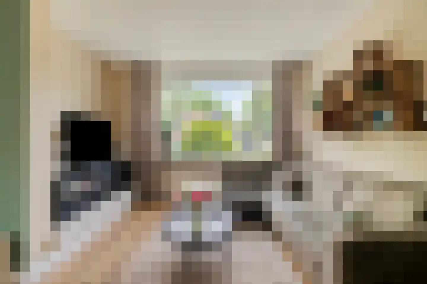 Eikelkamp 30 Epe thumbnail 9