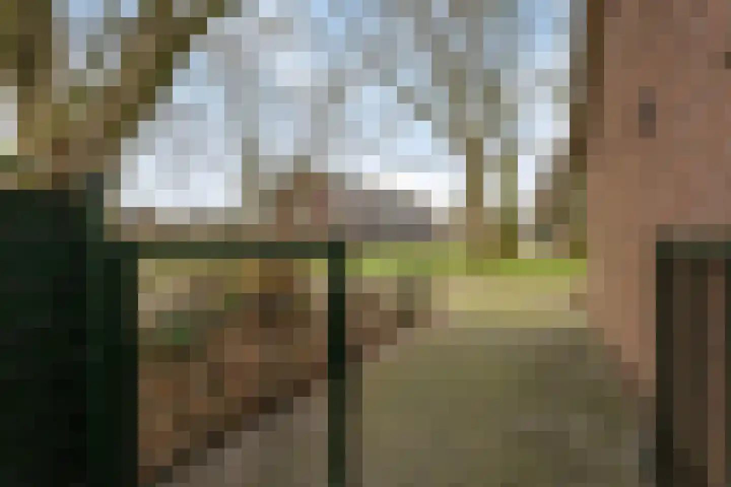 Eikelkamp 43 Epe thumbnail 23