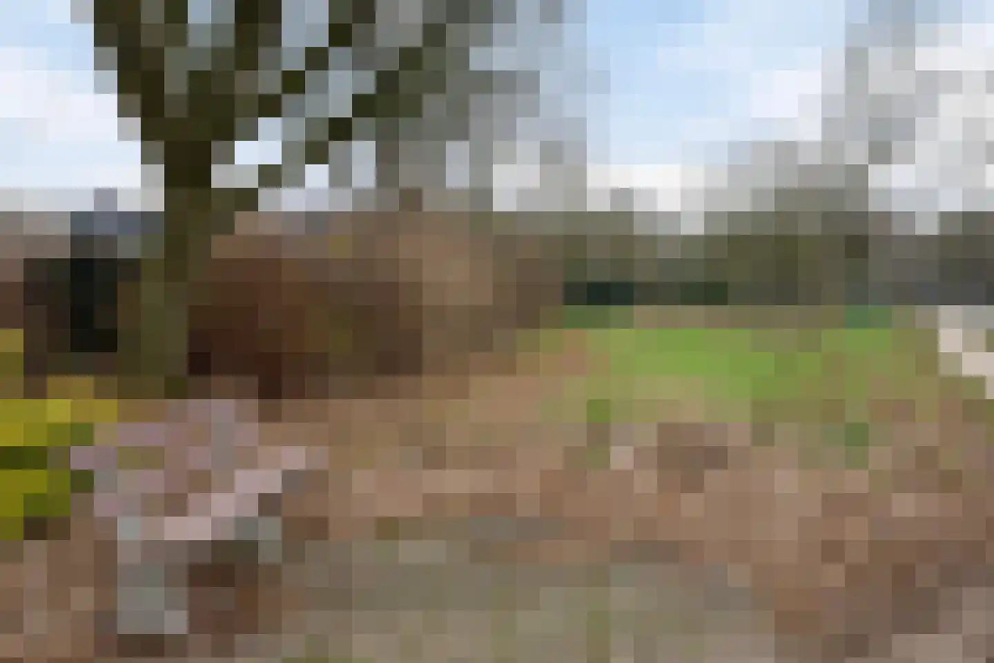Eikelkamp 43 Epe thumbnail 31