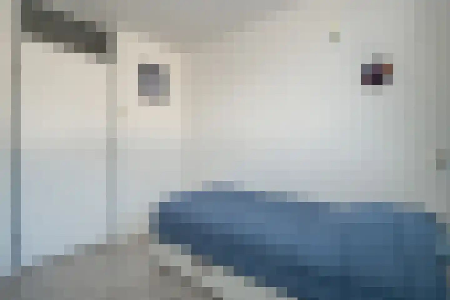 Eikelkamp 6 Epe thumbnail 21