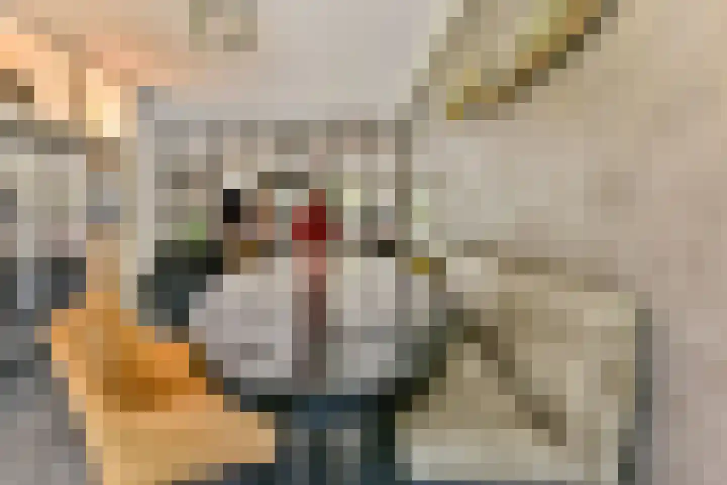 Eikelkamp 6 Hooglanderveen thumbnail 15
