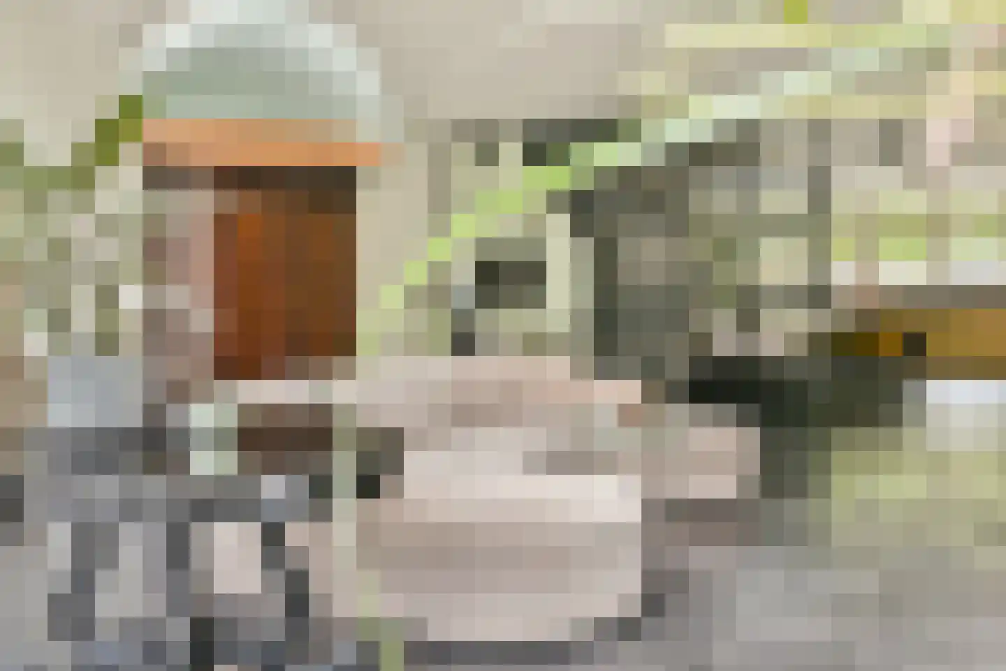 Eikelkamp 6 Hooglanderveen thumbnail 19