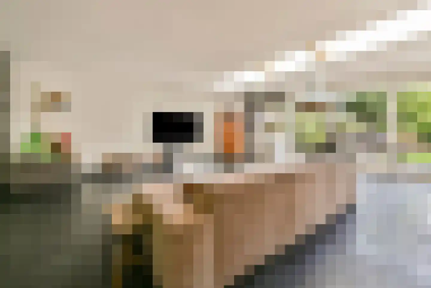 Eikelkamp 6 Hooglanderveen thumbnail 21