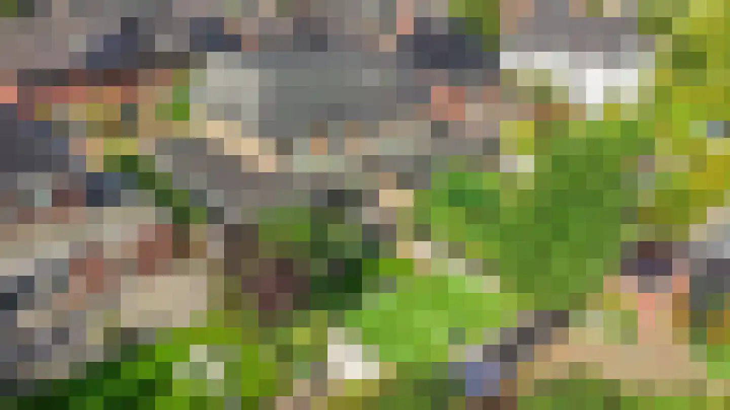 Eikelkamp 6 Hooglanderveen thumbnail 38