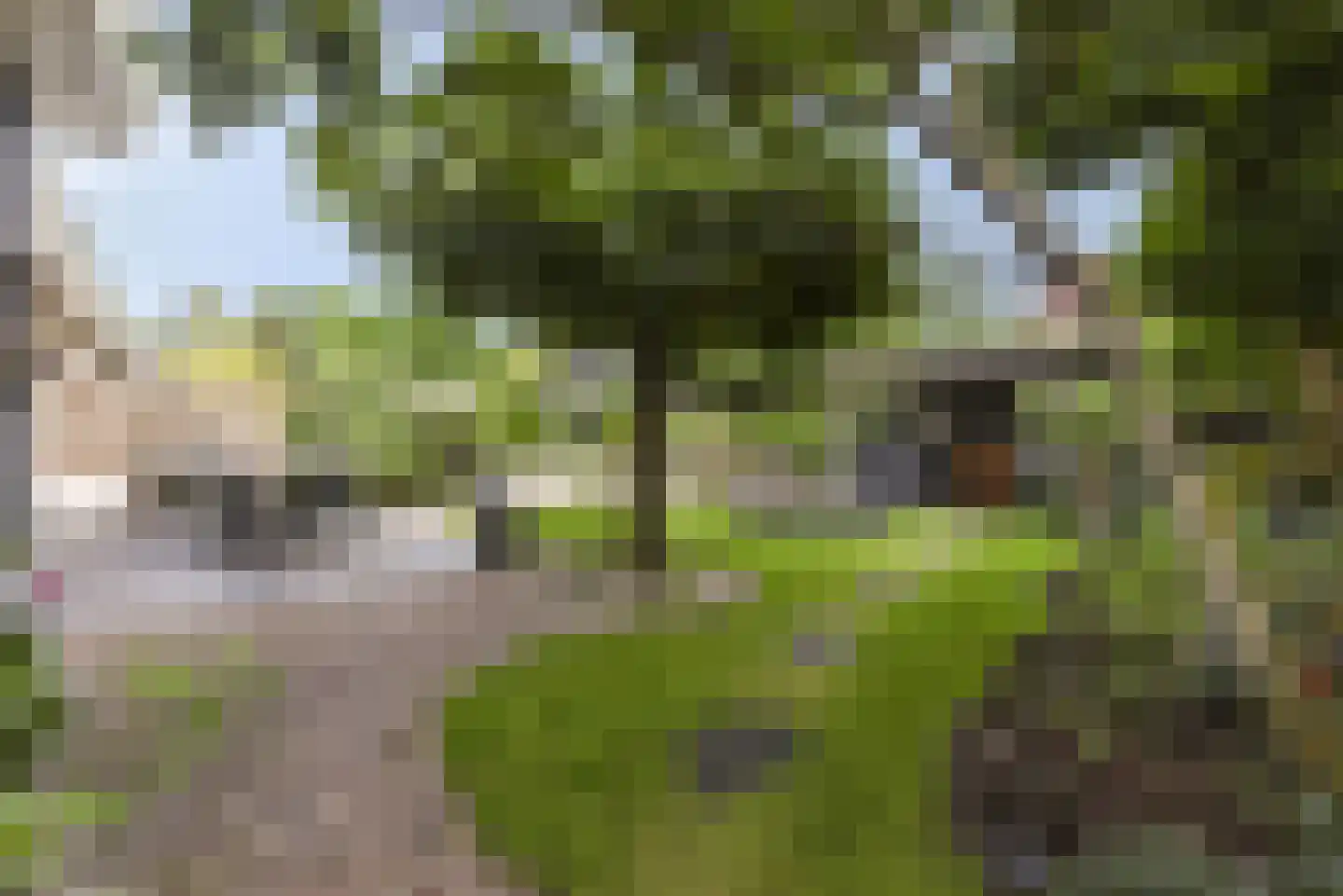 Eikelkamp 6 Hooglanderveen thumbnail 39