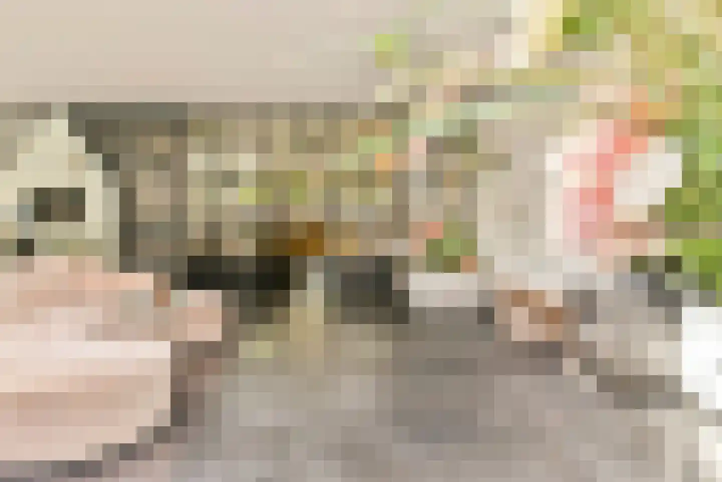 Eikelkamp 6 Hooglanderveen thumbnail 4