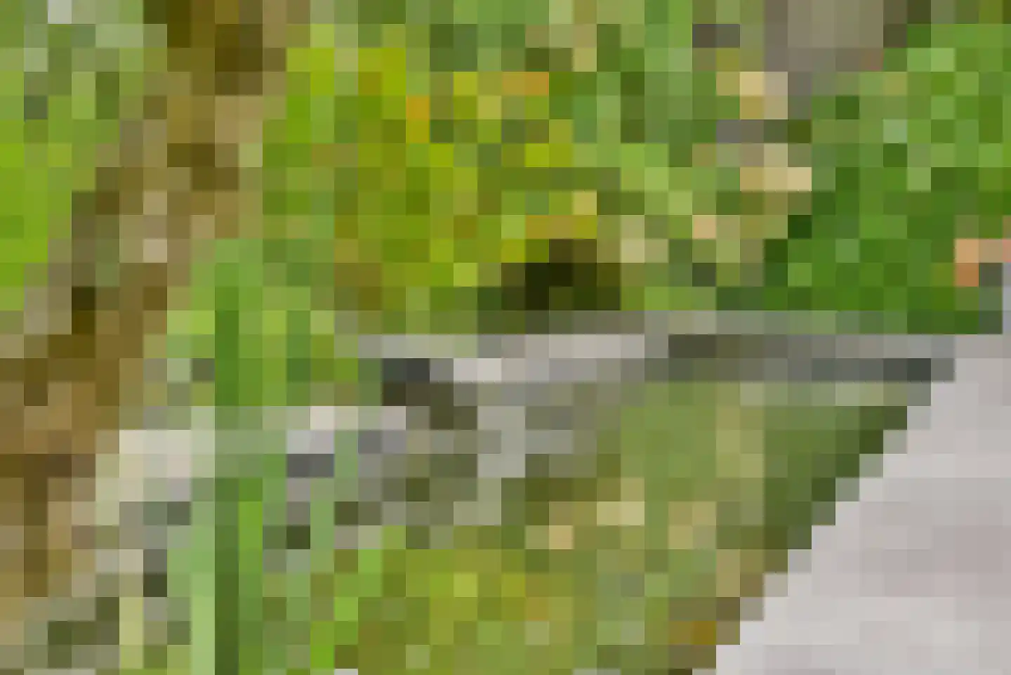 Eikelkamp 6 Hooglanderveen thumbnail 41