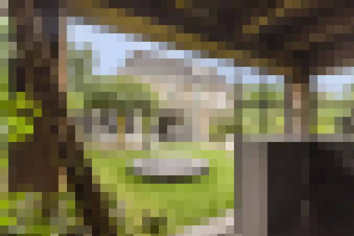 Eikelkamp 6 Hooglanderveen thumbnail 46