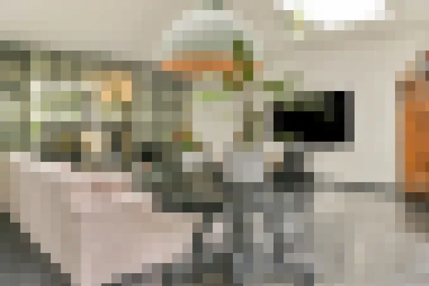 Eikelkamp 6 Hooglanderveen thumbnail 5