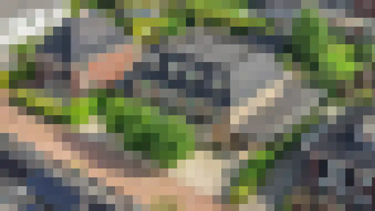Eikelkamp 6 Hooglanderveen thumbnail 9