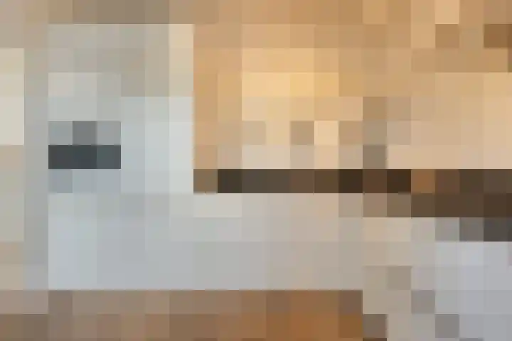 Eikelkamp 8 Epe thumbnail 15