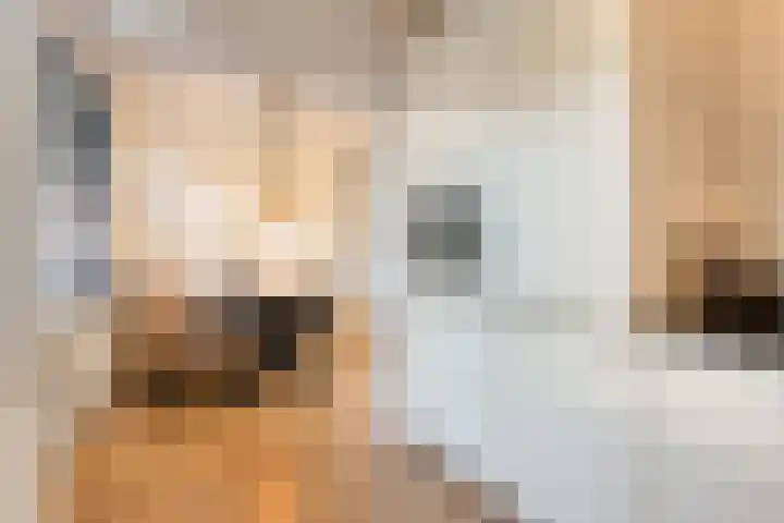 Eikelkamp 8 Epe thumbnail 16