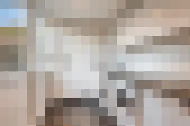 Eikelkamp 8 Epe thumbnail 17