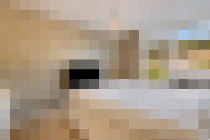 Eikelkamp 8 Epe thumbnail 19