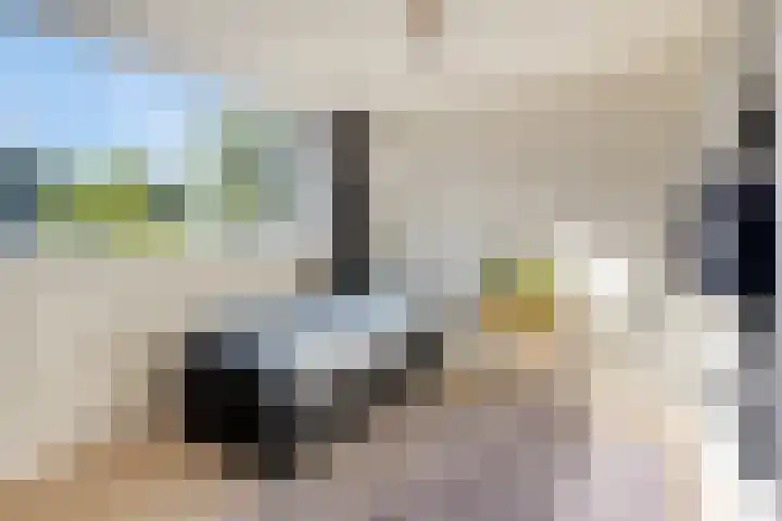 Eikelkamp 8 Epe thumbnail 23