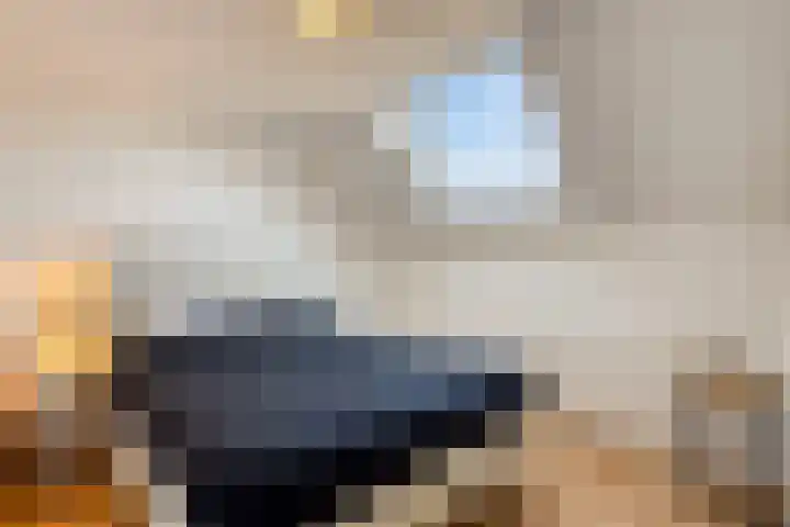 Eikelkamp 8 Epe thumbnail 29