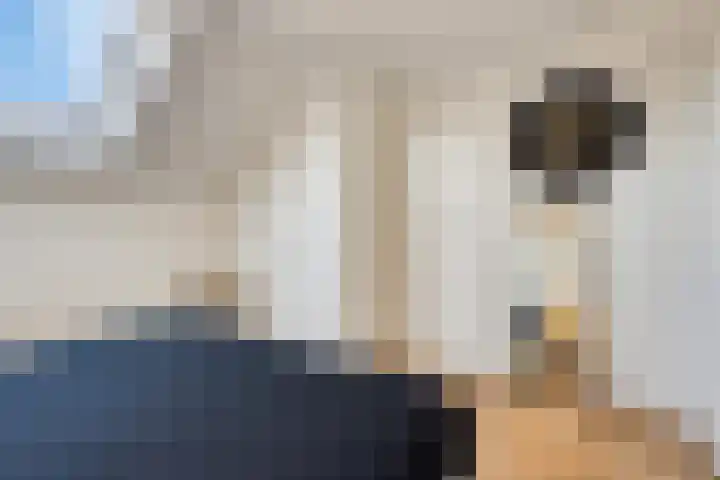Eikelkamp 8 Epe thumbnail 30