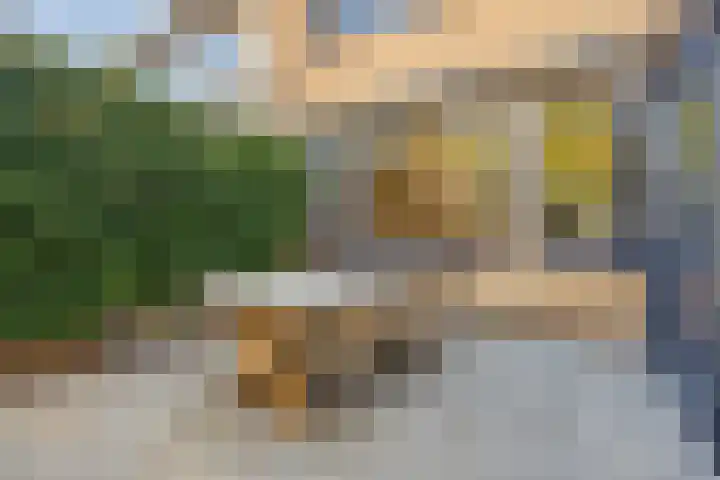 Eikelkamp 8 Epe thumbnail 31