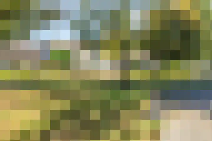 Eikelkamp 8 Epe thumbnail 35