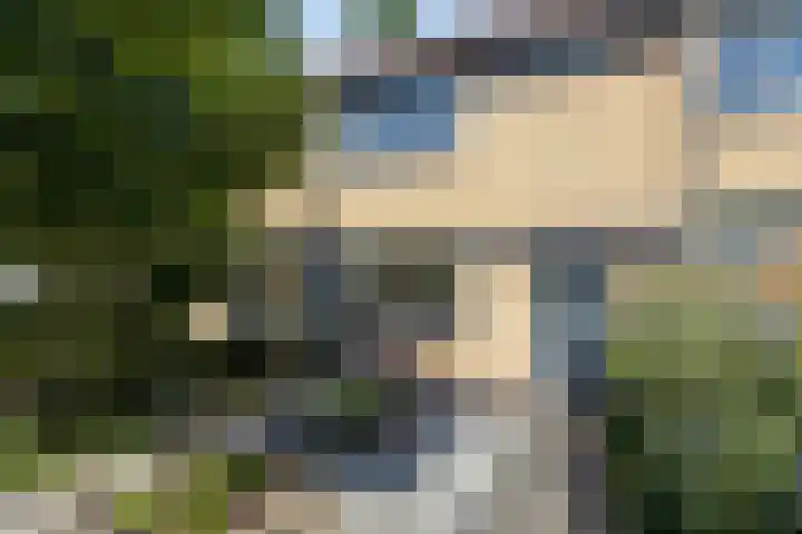 Eikelkamp 8 Epe thumbnail 4