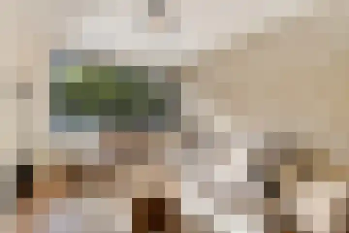 Eikelkamp 8 Epe thumbnail 6
