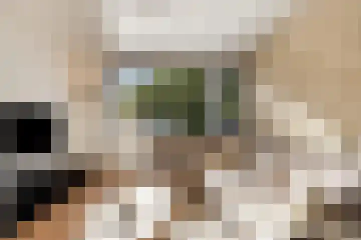 Eikelkamp 8 Epe thumbnail 7