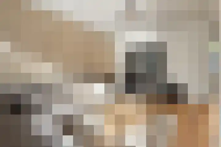 Eikelkamp 8 Epe thumbnail 8