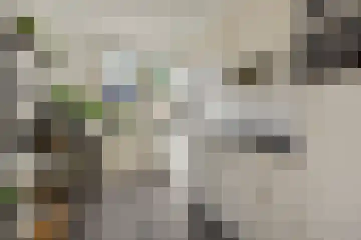 Eikelkampstraat 7 Nistelrode thumbnail 10