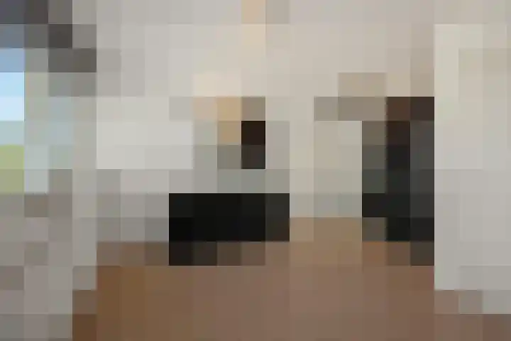 Eikelkampstraat 7 Nistelrode thumbnail 21