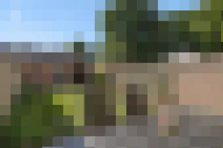 Eikelkampstraat 7 Nistelrode thumbnail 29