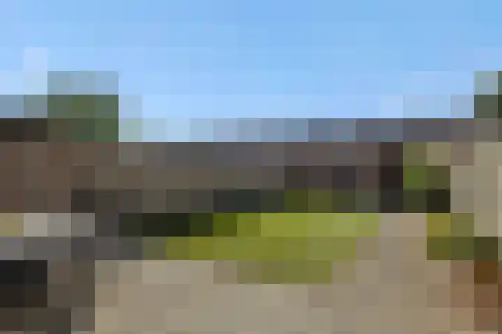 Eikelkampstraat 7 Nistelrode thumbnail 30