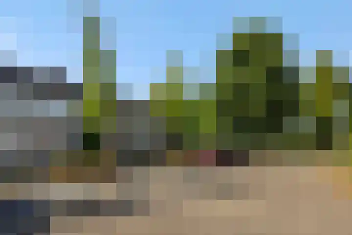 Eikelkampstraat 7 Nistelrode thumbnail 34