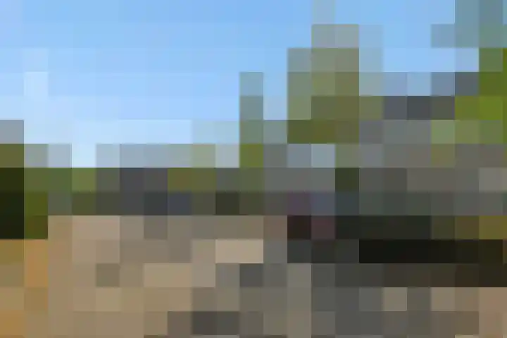Eikelkampstraat 7 Nistelrode thumbnail 36