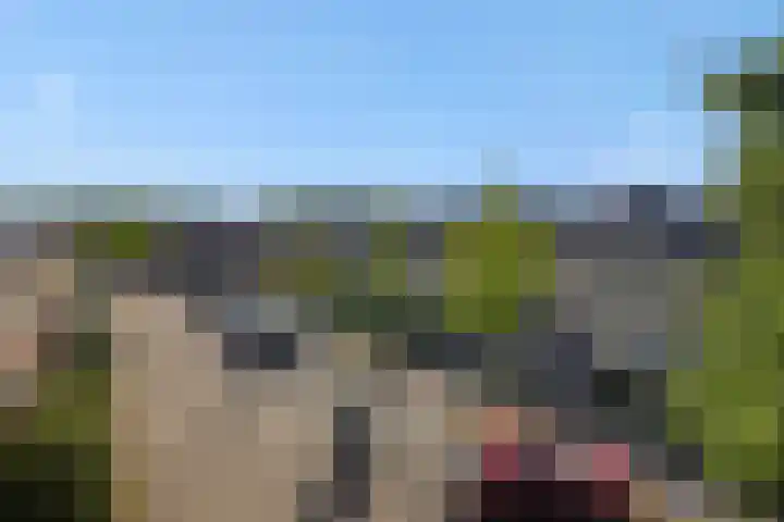 Eikelkampstraat 7 Nistelrode thumbnail 37