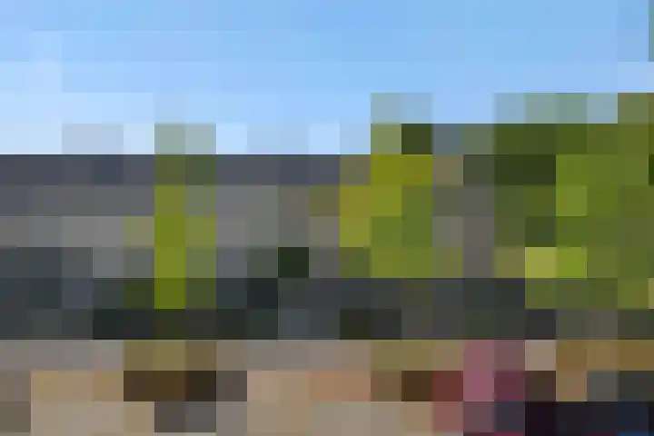 Eikelkampstraat 7 Nistelrode thumbnail 38