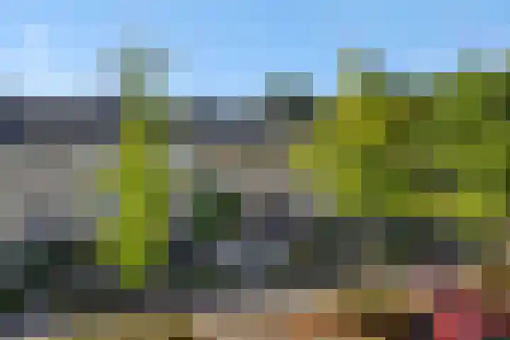 Eikelkampstraat 7 Nistelrode thumbnail 39