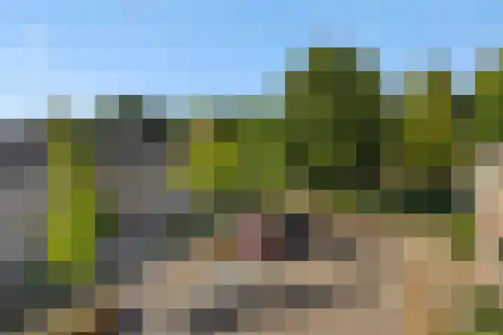 Eikelkampstraat 7 Nistelrode thumbnail 40