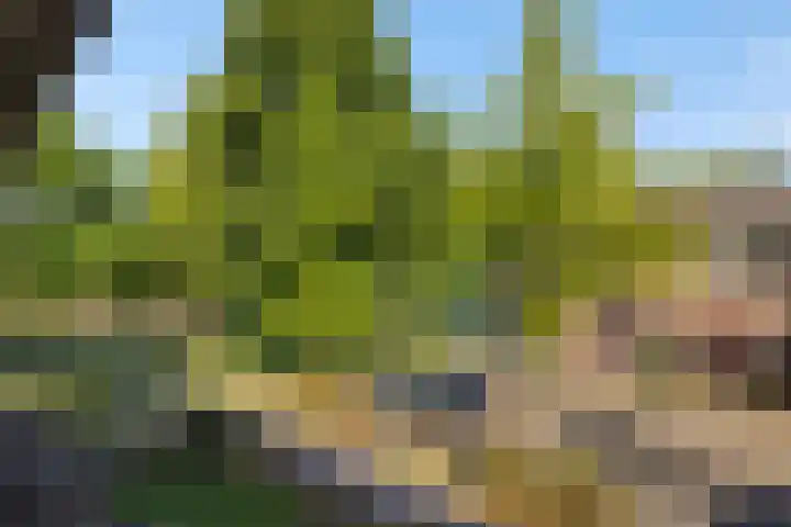 Eikelkampstraat 7 Nistelrode thumbnail 41