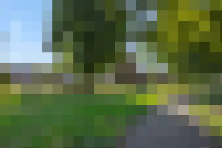 Eikelkampstraat 7 Nistelrode thumbnail 42