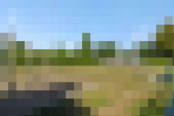 Eikelkampstraat 7 Nistelrode thumbnail 43