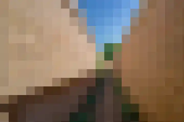 Eikenbaan 28 Zevenaar thumbnail 47