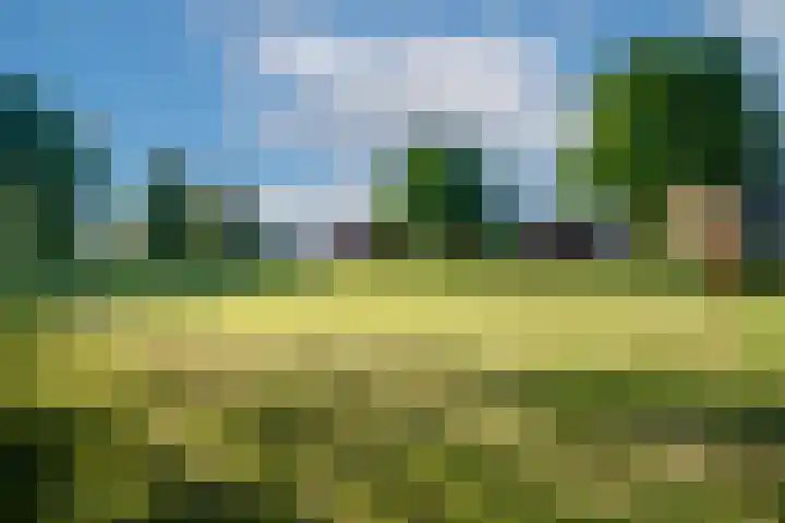 Eikenbaan 28 Zevenaar thumbnail 48