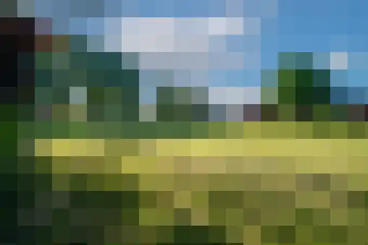 Eikenbaan 28 Zevenaar thumbnail 49