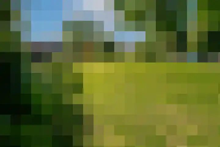 Eikenbaan 28 Zevenaar thumbnail 50
