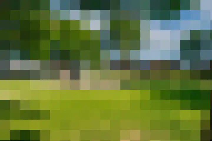 Eikenbaan 28 Zevenaar thumbnail 51