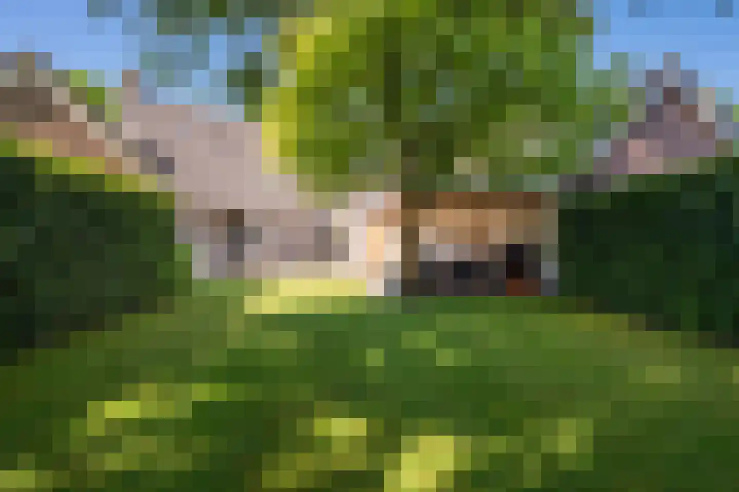 Eikenbeemd 12 Diessen thumbnail 4