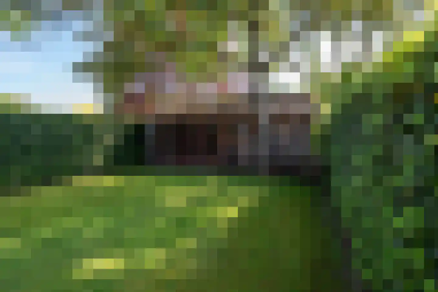 Eikenbeemd 12 Diessen thumbnail 41