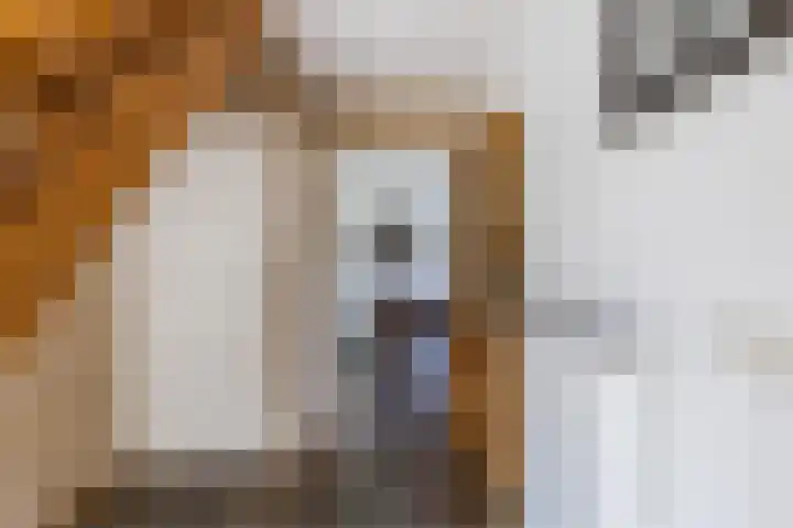 Eikenbeemd 20 Diessen thumbnail 12